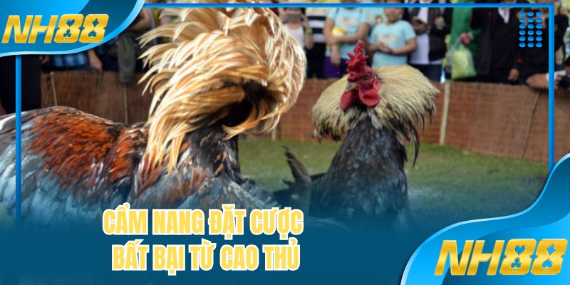 Cẩm nang đặt cược bất bại từ cao thủ