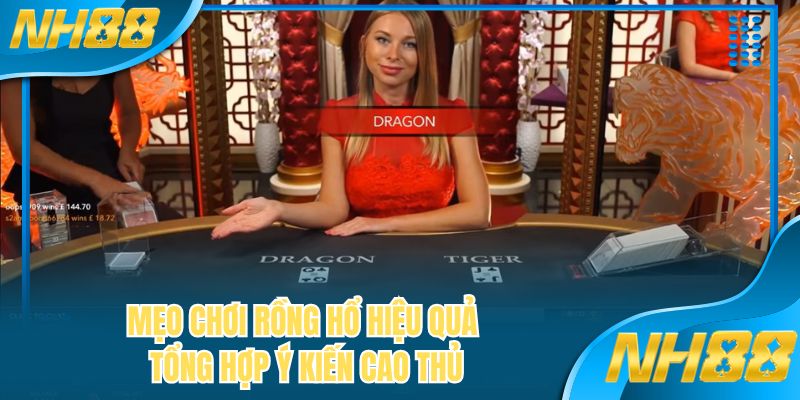Mẹo chơi rồng hổ hiệu quả tổng hợp ý kiến cao thủ