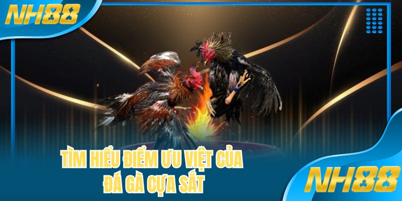 Tìm hiểu điểm ưu việt của đá gà cựa sắt